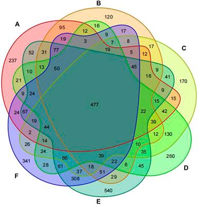 Effects of Bifidobacterium bifidum tetragonum tablets and Jin Gui Ren Qi Pill on intestinal flora and metabolism in patients with diabetic kidney disease